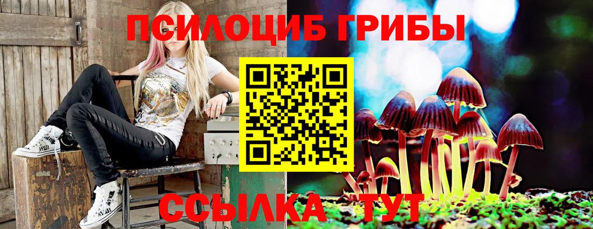 Малгобек  Галлюциногенные грибы мицелий  Вход с VPN  Псилоцибиновые грибы Cubensis 